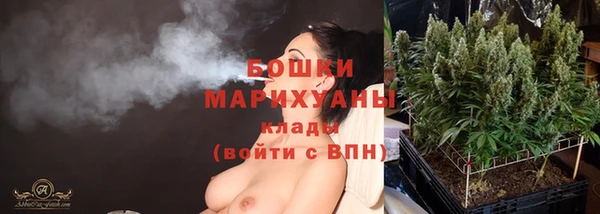 гидра Киреевск