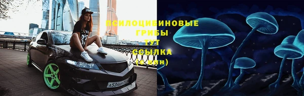 гидра Киреевск