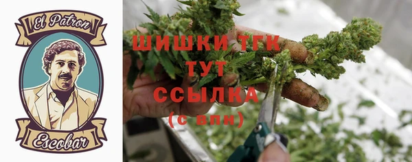 гидра Киреевск