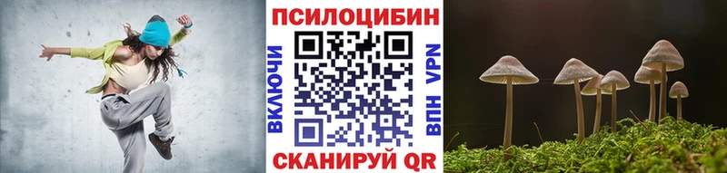 магазин    Юхнов  Псилоцибиновые грибы Cubensis 